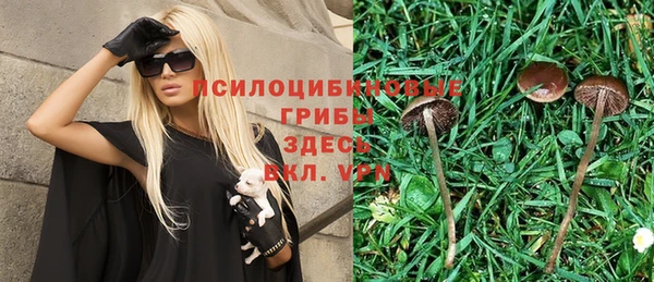 бутират Бородино