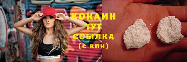 индика Богородицк