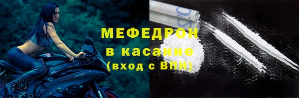 индика Богородицк