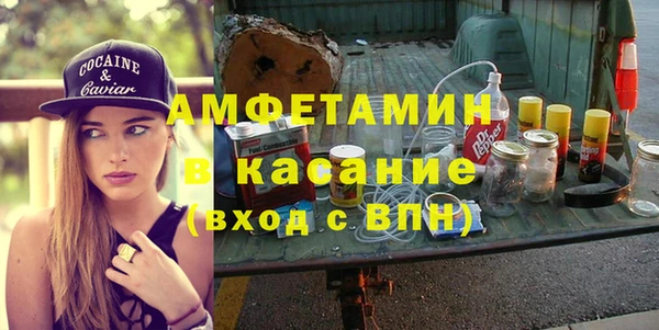 индика Богородицк