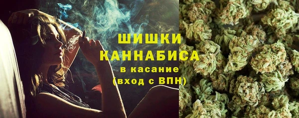 индика Богородицк