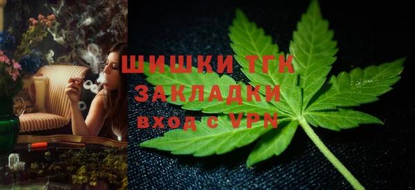 индика Богородицк