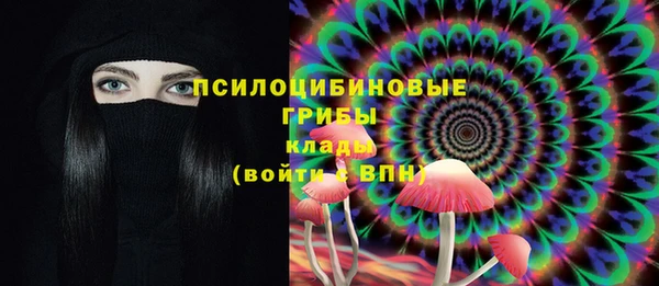 амф Бронницы