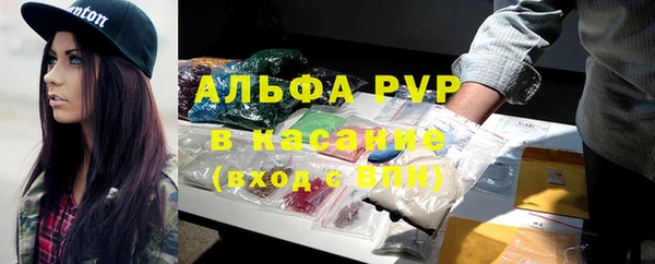 хмурый Белокуриха