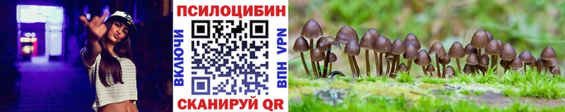 наркотики Горячий Ключ mega маркетплейс Галлюциногенные грибы Psilocybe