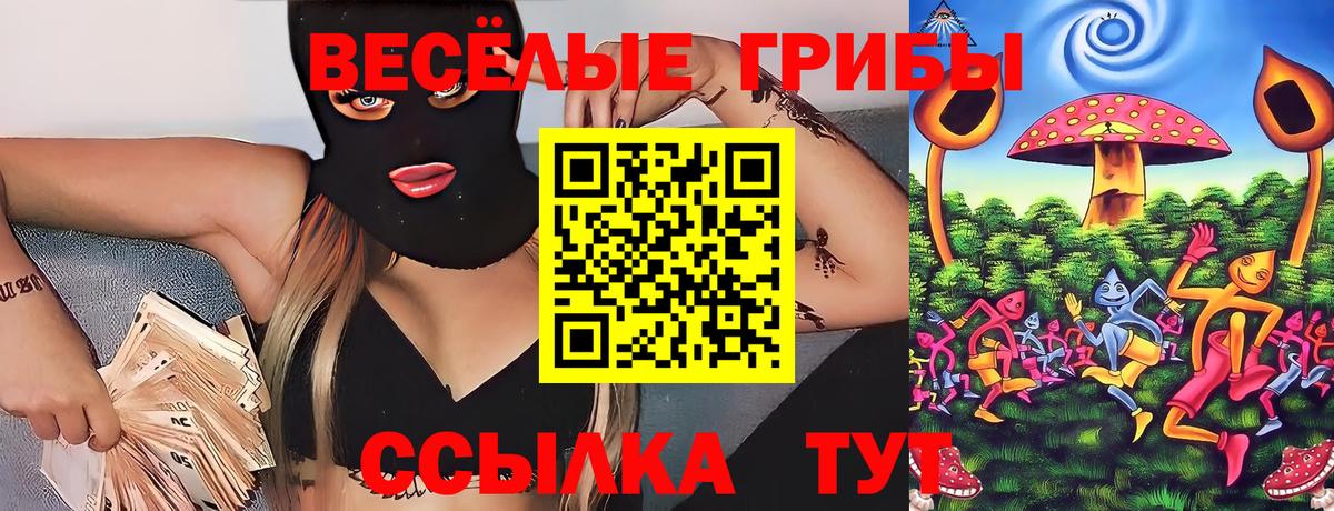 Псилоцибиновые грибы мухоморы  Вход с VPN  Горячий Ключ  как найти закладки  Псилоцибиновые грибы мицелий 